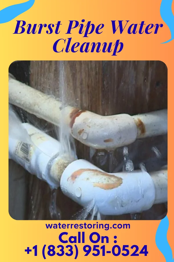 Burst Pipe Water Cleanup in Niagara, WI