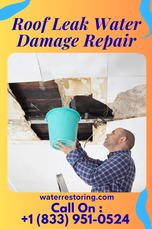 Roof Leak Water Damage Repair in Niagara, WI