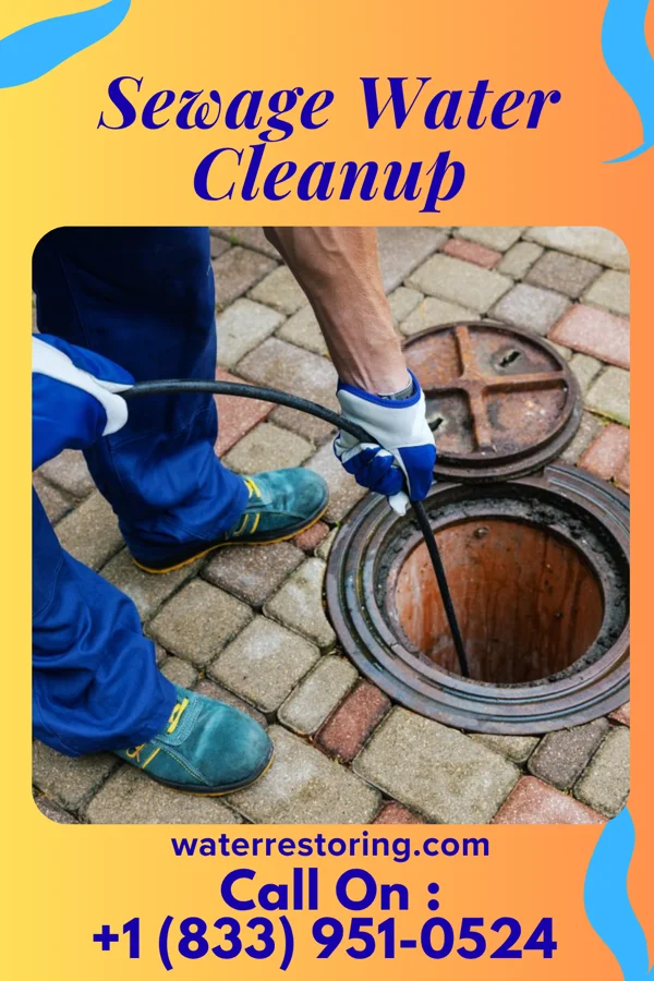 Sewage Water Cleanup in Niagara, WI