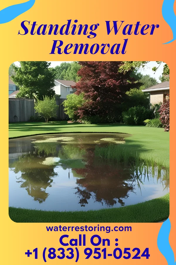 Standing Water Removal in Niagara, WI
